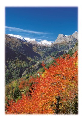 ChamporcherAutunnale ChamporcherAutunnale