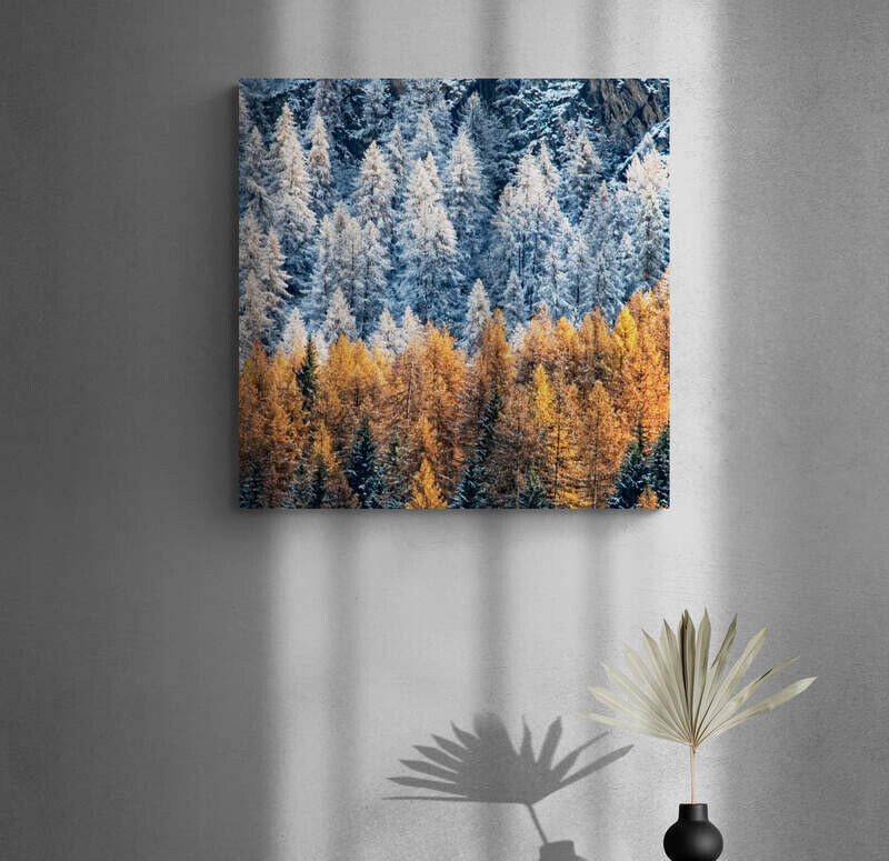 Autunno Neve