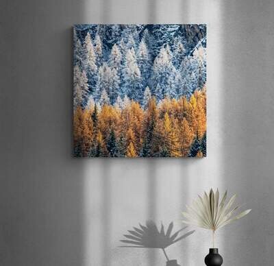 Autunno Neve