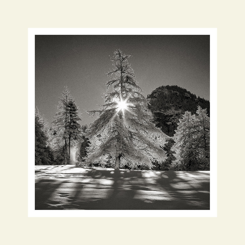Winter Star
