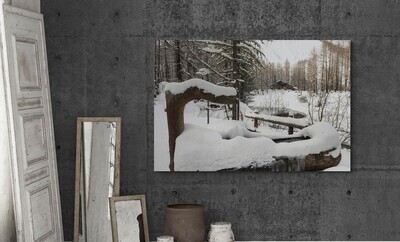 Winter trees 3