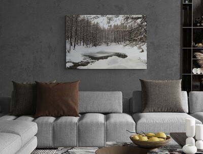 Winter trees 3
