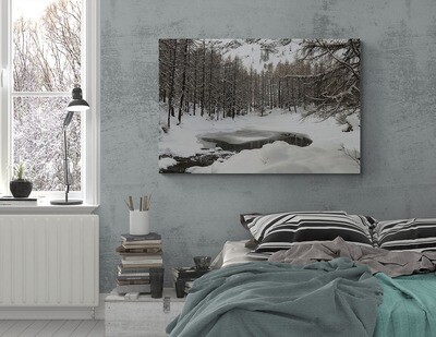Winter trees 3