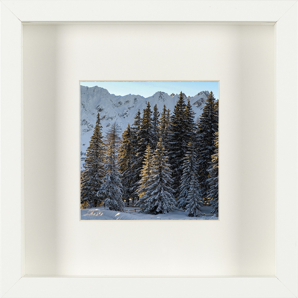 Trees at dawn, colore cornice: BIANCO, formato cornice: 25x25cm
