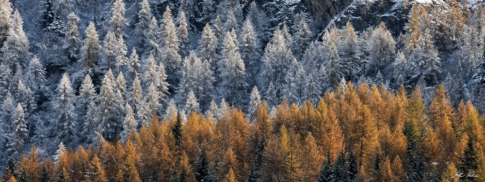 Autunno in Val d&#39;Aosta, Formato: 100x40cm, Supporto: Tela montata su telaio da 20mm