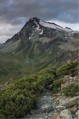 Mont Gele - Ollomont