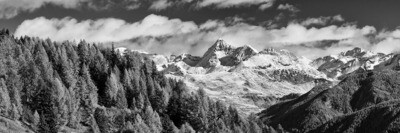 Grand Tournalin