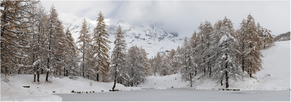 Autunno bianco