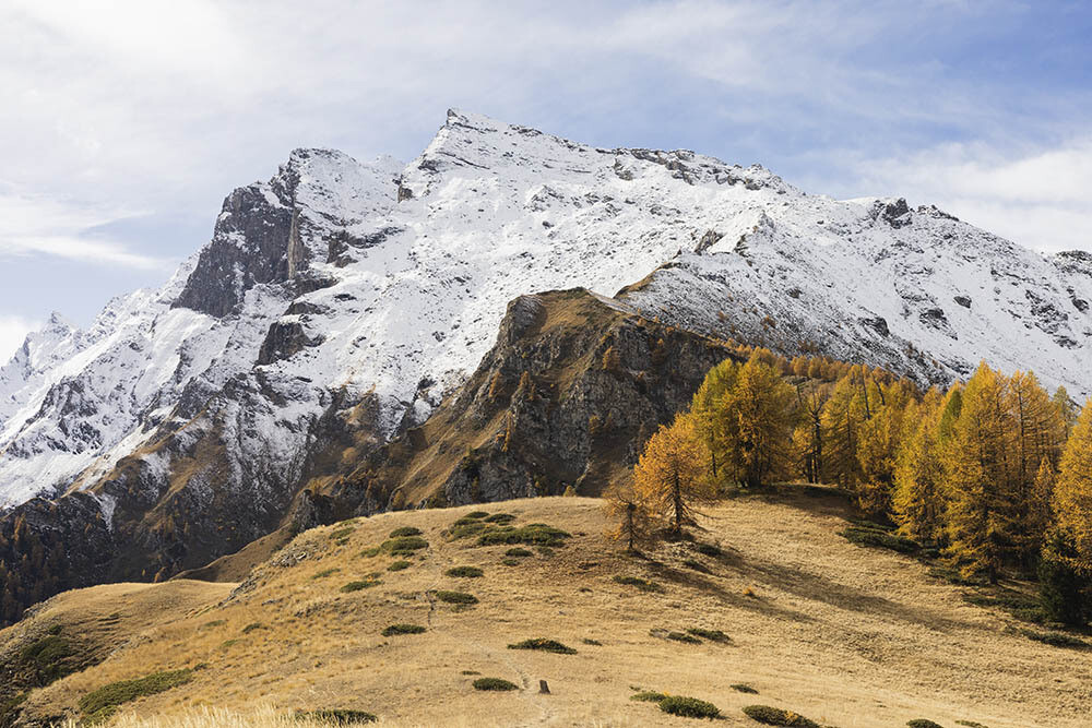 Autunno in Val di Rheme - PLAN COU