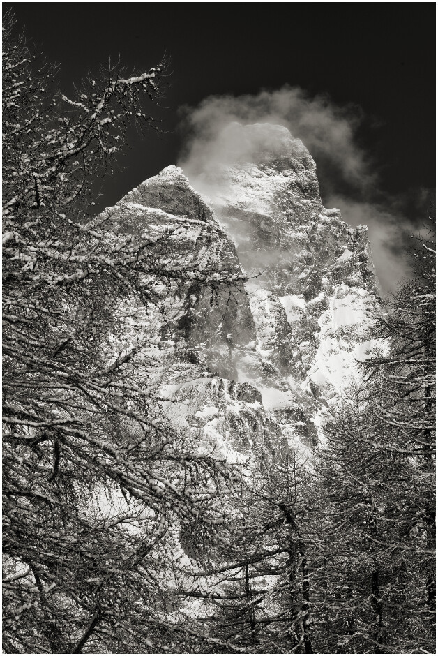 Segreti tra i rami: il Monte Cervino