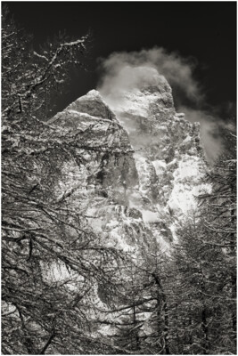 Segreti tra i rami: il Monte Cervino