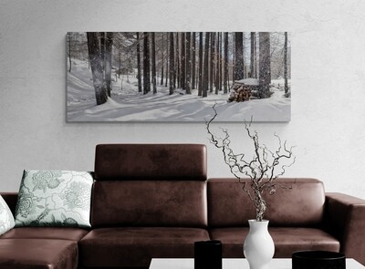 Winter trees