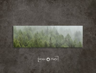 Lampshade of Nature / Aosta Valley