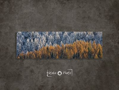 Lampshade of Nature / Aosta Valley
