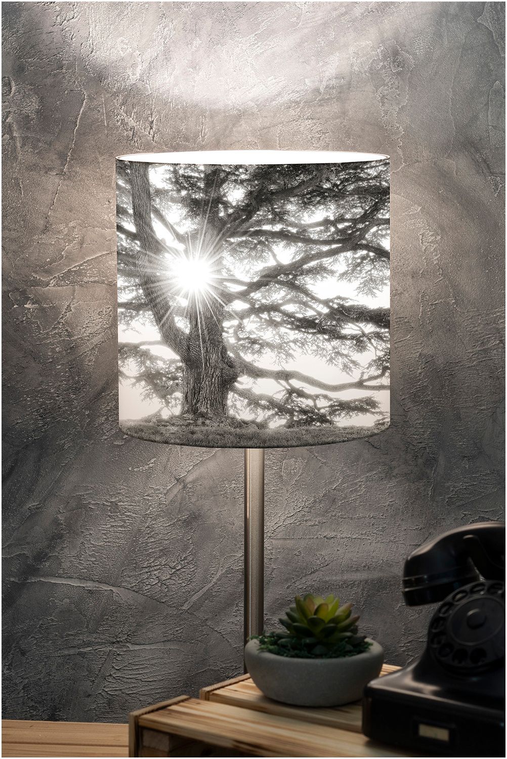 Lampshade of Nature / Aosta Valley