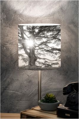 Lampshade of Nature / Aosta Valley