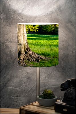 Lampshade of Nature / Aosta Valley