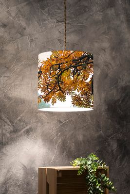 Lampshade of Nature / Aosta Valley