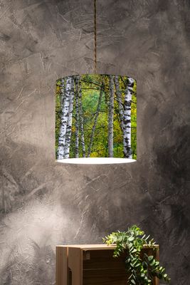 Lampshade of Nature / Aosta Valley