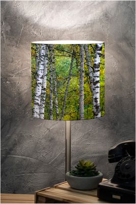 Lampshade of Nature / Aosta Valley