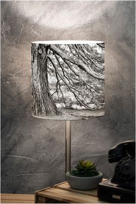 Lampshade of Nature / Aosta Valley