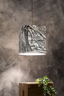Lampshade of Nature / Aosta Valley