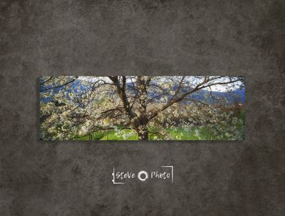 Lampshade of Nature / Aosta Valley