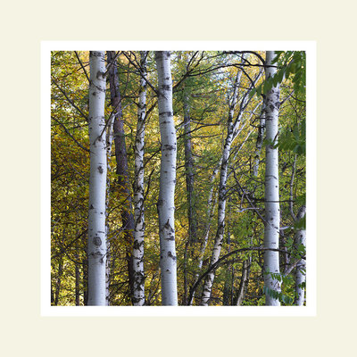 Autunno