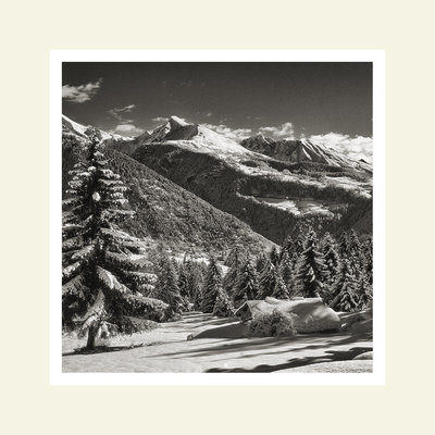 Bois de Joux - Brusson - Ayas