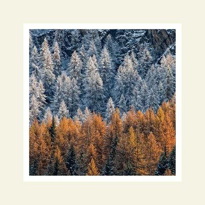 Autunno