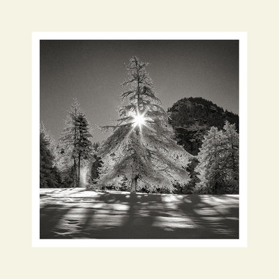 Winter Star