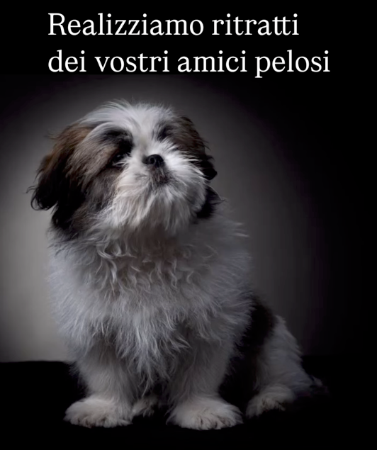 Cattura l&#39;Anima del Tuo Migliore Amico!