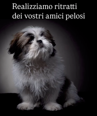 Cattura l&#39;Anima del Tuo Migliore Amico!