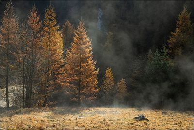 Quando la terra si sveglia