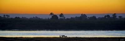 Egypt Sunset