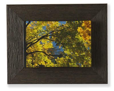Fiamme d&#39;Autunno
