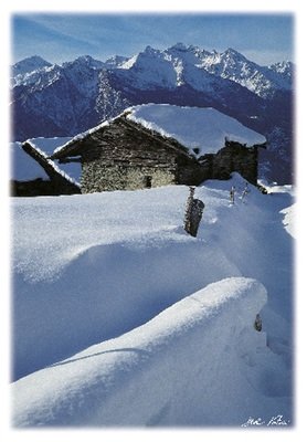 BoisDeJouxBrussonAyas BoisDeJouxBrussonAyas