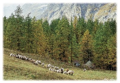 ValVenyCourmayeur ValVenyCourmayeur