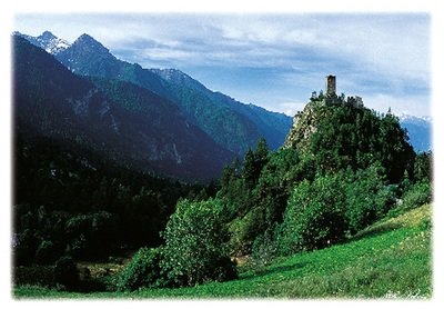 CastelloGrainesEstivo CastelloGrainesEstivo