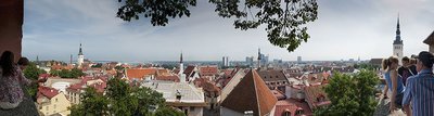 Tallin