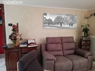 Apple Trees