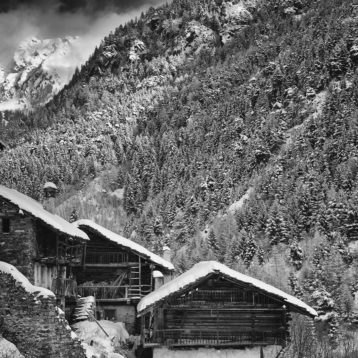 ARCHITETTURA