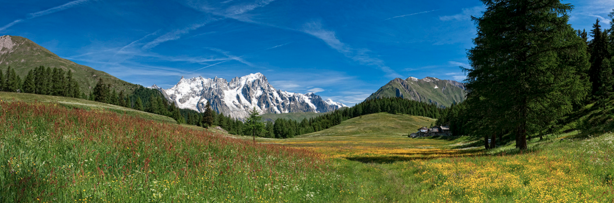 Cartoline Panoramiche