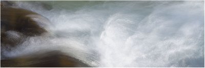 water life #2 - limited edition