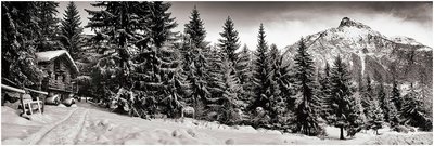 Bois de Joux - Brusson - Val d'Ayas