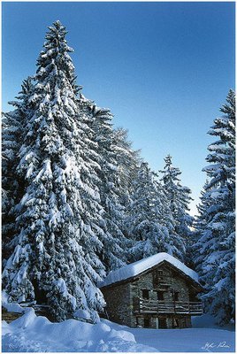 Bois de Joux - Brusson - Ayas