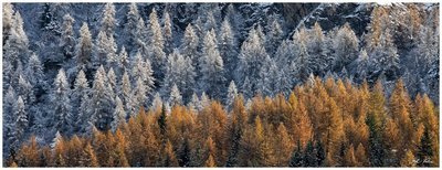 Autunno in Val d'Aosta