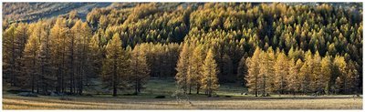 Autunno - Val Ferret