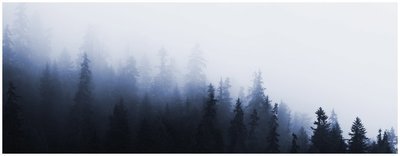The Blue Forest