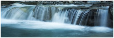 Water Life III
